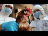كوريا الجنوبية تمنع مؤقتا نقل الدواجن لمكافحة إنفلونزا الطيور