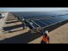 مزرعة شمسية تلبي كامل احتياجات الطاقة في جامعة ستانفورد