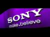 " Sony  " لديها أيضا خطط لتطوير السيارات ذاتية القيادة للتنافس مع الكبار