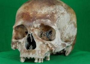 عرض جمجمة عمرها 500 عام بتقنية ثلاثية الأبعاد على الانترنت ضمن مشروع ماري روز