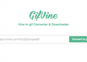 موقع GifVine لتحويل مقاطع فاين إلى صور متحركة