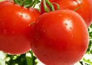 الطماطم تقي الجلد من الانكماش والشيخوخة