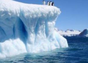 بيانات أمريكية: جليد البحار حول القارة القطبية الجنوبية عند مستوى متدن قياسي