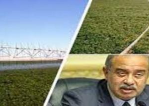 "الريف المصري": الطرح الأول للأراضي خلال 4 شهور والاعتماد على التكنولوجيا لتطوير المنظومة الزراعية