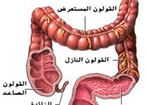 دراسة: الاسبرين يحتوى على انزيم لمكافحة سرطان القولون