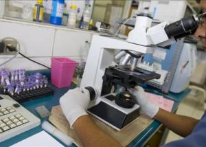 منظمة الصحة العالمية تدعو حكومات شرق المتوسط لاتخاذ خطوات للوقاية من فيروس زيكا