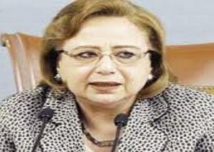 الاهواني :مصر تحظي الان باهتمام كبير من قبل جميع المستثمرين وخاصه المستثمرين العرب نظرا لاستقرار الاوضاع السياسيه والاقتصاديه.