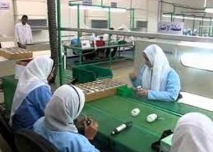 التدريب التحويلى..التمويل الميسر..التعليم الفنى والتاهيل التكنولوجى" كلمة السر" لتوطين اى صناعة .