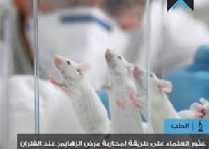 الطبّ يؤكد دوره في تراجع مرض الزهايمر عند الفئران