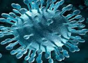 تحديث البروتوكولات العلاجية لفيروس سي