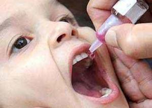 بدء حملة التطعيم ضد شلل الأطفال بالمنيا الأحد المقبل