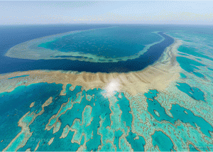 علماء يحذرون من تزايد الأضرار التي يتعرض لها الحاجز المرجاني باستراليا