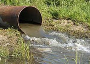 دراسة بجامعة أسيوط: 60% من أمراض الكلى ناتجة عن تلوث المياه