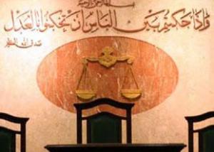 الشناوي يطالب بضم فريق تقنيي للجنة التأسيسية للدستور
