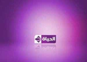 منافسة على سوق إعلانات القنوات التلفزيونية المصرية