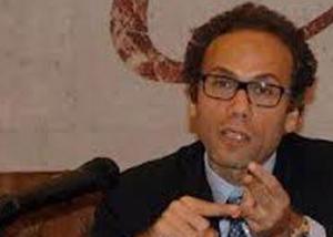 مهندس محمد النواوى